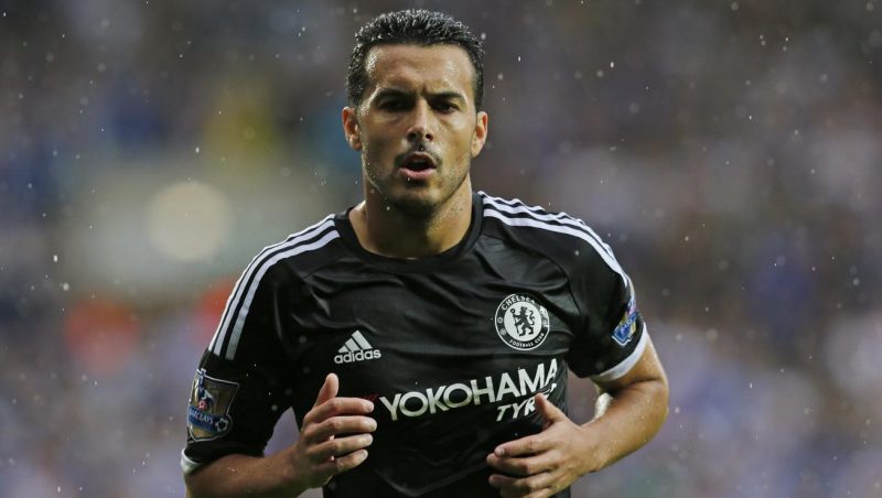 PEdro3