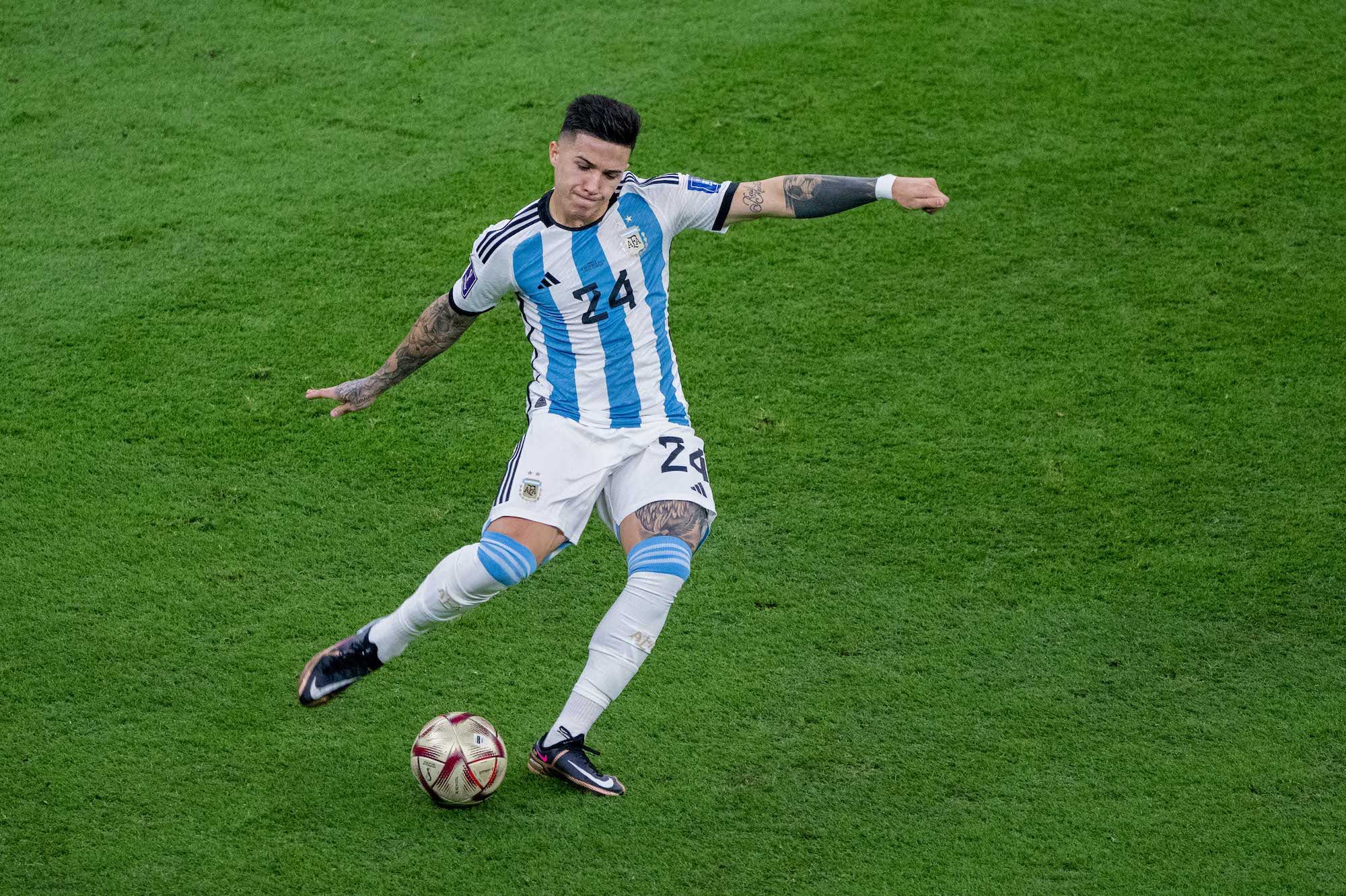 Enzo Fernandez for Argentina
